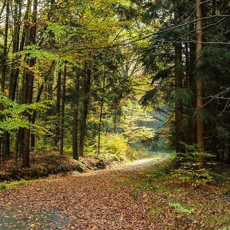 Weinberghaus Prossen Villa Bad Schandau Bagian luar foto