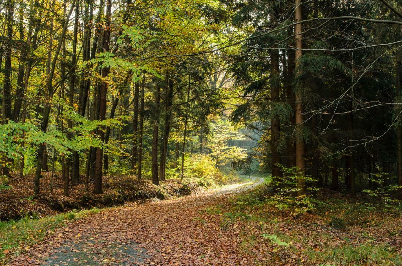 Weinberghaus Prossen Villa Bad Schandau Bagian luar foto